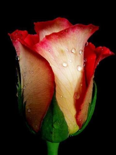 19:20:06 GMT-0600 (CST)