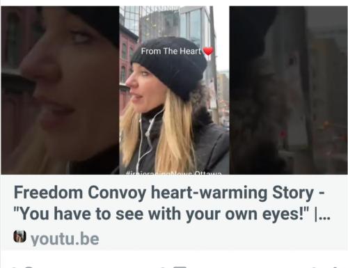 Screenshot_20220211-012343_CloutHub