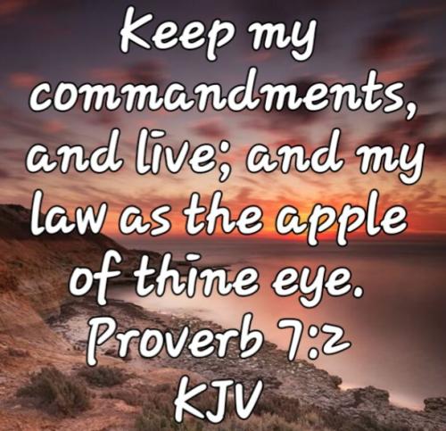 01:17:44 GMT-0800 (PST)