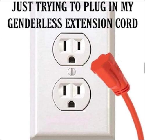 transgender145