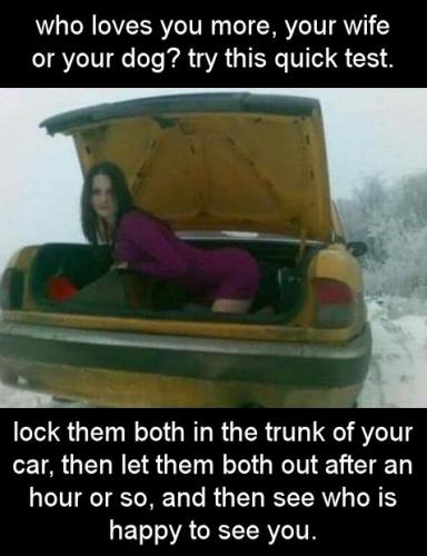 who loves you more your wife or your dog