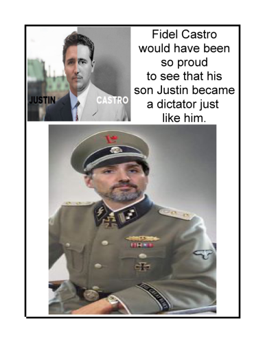 Castro like son-page-0