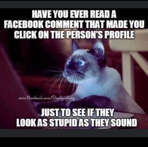 FB_IMG_1645678689298