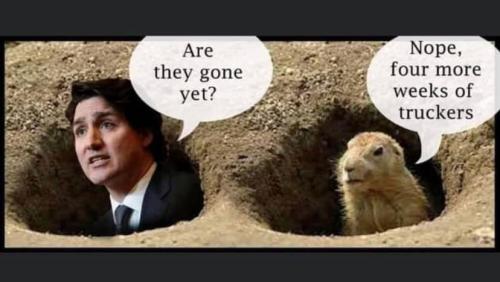 273151652_4939866552740648_19762211638720260_n