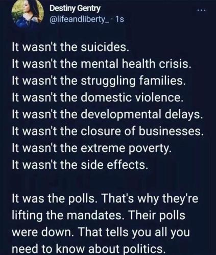 563515FF-972E-4EB0-980C-DA3BC298BFF6-10498-0000056036C5590D