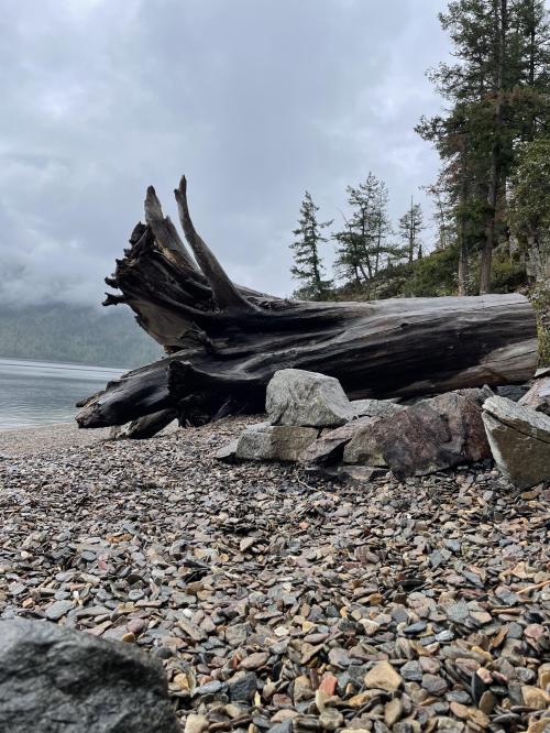 451047D8-22D7-4563-8E72-DC8A5E7EBA3D