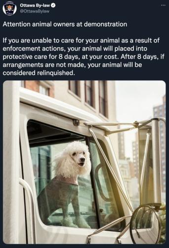 273219763_328964459269771_850180393589645180_n