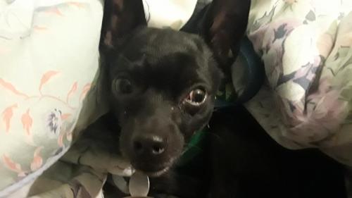 04:05:31 GMT-0500 (EST)