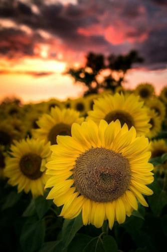 tumblr_palt05yeMJ1uzouo7o1_540