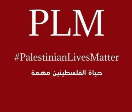 Screenshot_2022-02-08-04-28-41_kindlephoto-7510261925