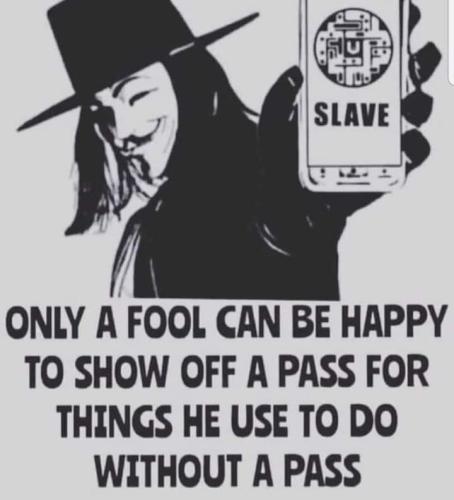 FB_IMG_1644506085136