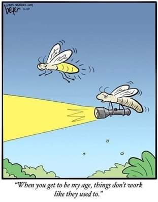 FB_IMG_1643775749771