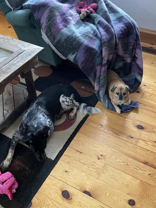 580180A3-1AC8-47B9-8FF5-DBE452C81C0D