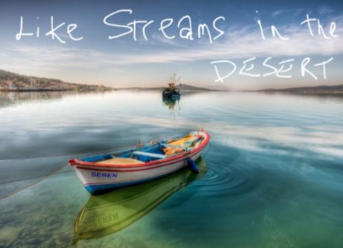 Screenshot_20220221-061552_DuckDuckGo