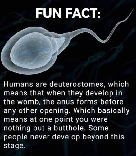 FB_IMG_1645541803319