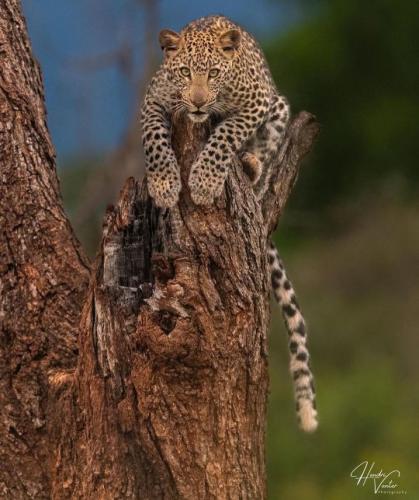 tumblr_55b27408d9e07d68a57360fa131ed253_e6090417_540