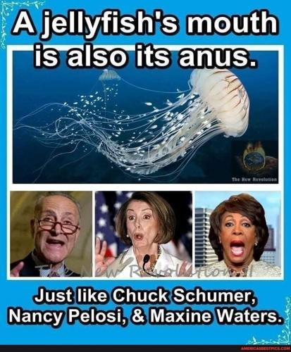 FB_IMG_1645737170978