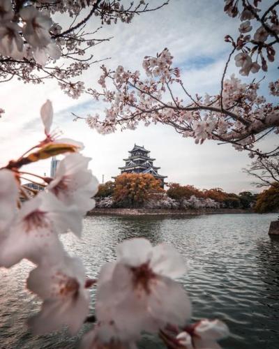 273737269_480075107168034_5679909071270660416_n