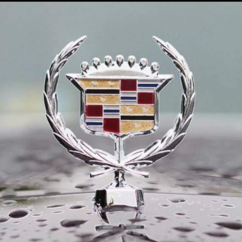 Screenshot_20220121-210340~2