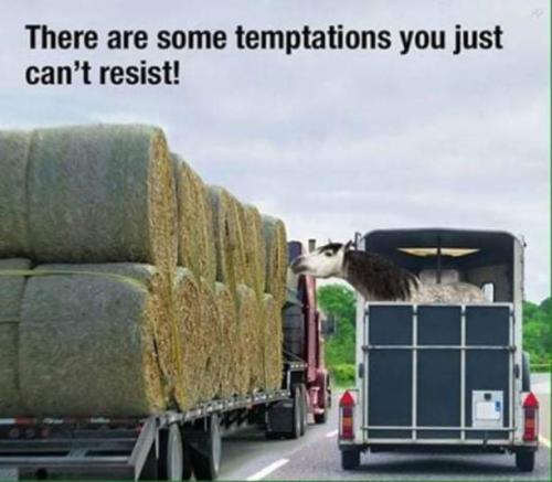 FB_IMG_1643751682633