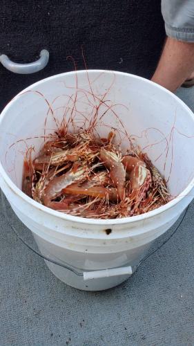 4D926E7F-CD9C-4F22-829B-E458AFFC117F