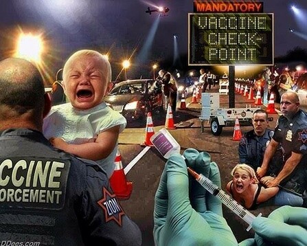 Vaccine checkpoint