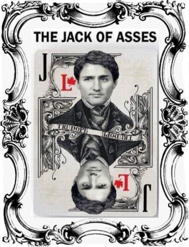 THE JACK OF ASSES