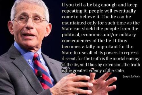 fauci201