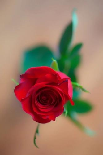 19:27:17 GMT-0600 (CST)