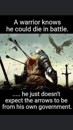 FB_IMG_1644970335676