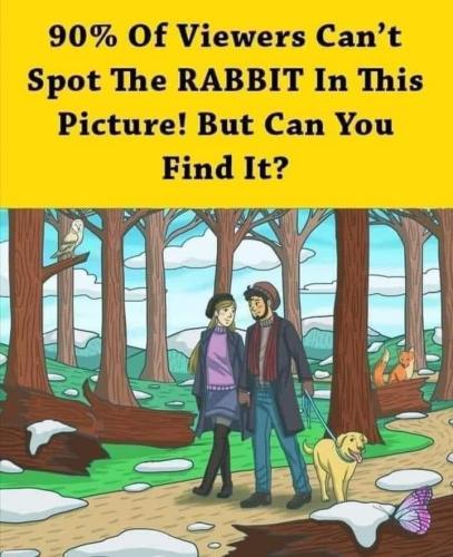 274148537_149274560867946_1663639670384318568_n