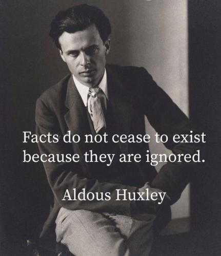 273543359_356646166465468_2730909459444188540_n