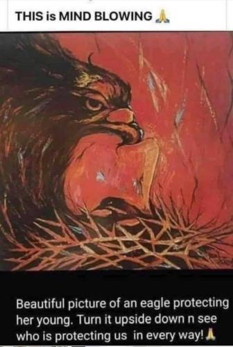 241407635_10223811489529892_275587170166846443_n