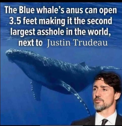 10:39:05 GMT-0600 (CST).image