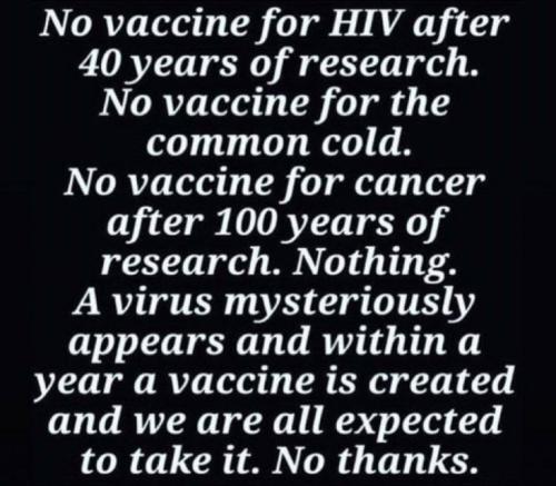 vaccine528