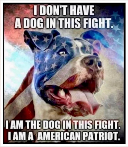 ee7935e2-ff31-42cc-b3b8-1408af058e61