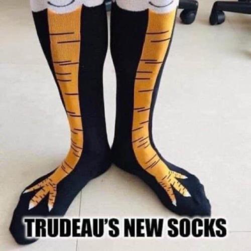 273703897_251603383820214_8327657612281995501_n