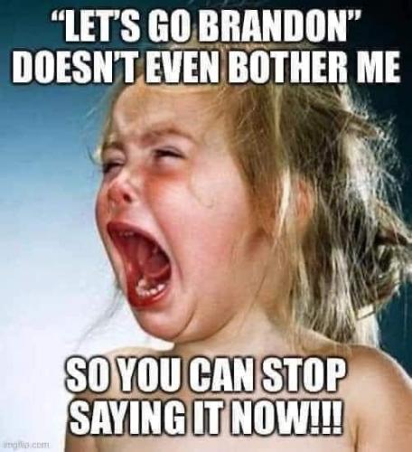 FB_IMG_1644175057271