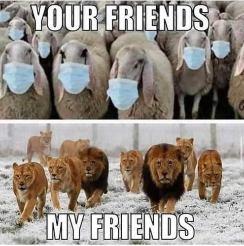 FB_IMG_1645560917765
