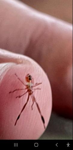 Screenshot_20220212-011900_Viber