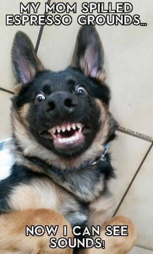 21:08:59 GMT-0600 (CST)