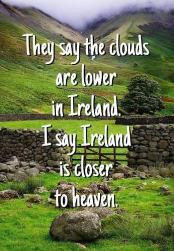 122874729_163463765441959_9120737491245663608_n