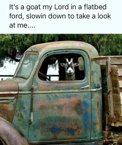 FB_IMG_1643821690089