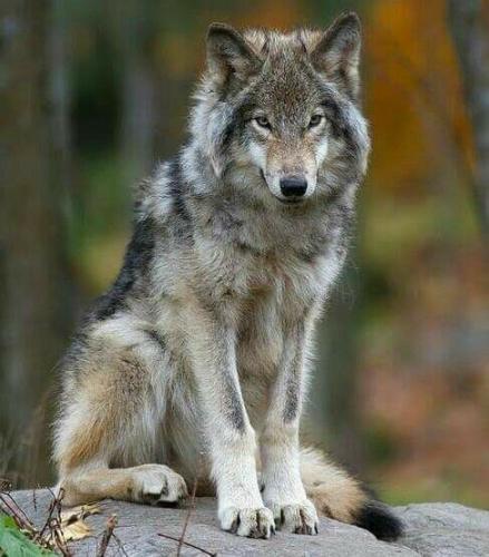 768ac66d08e4d59bc6dbbcdf71b3e8b5