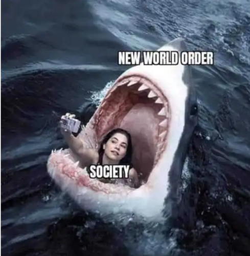 baxcqhyqvlg81