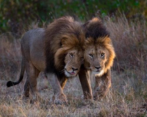 273973430_472635940977996_1634876700379057271_n