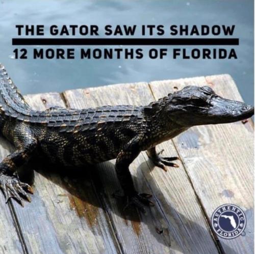 10:55:53 GMT-0500 (EST).image