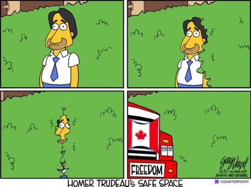 freedomconvoysafespace