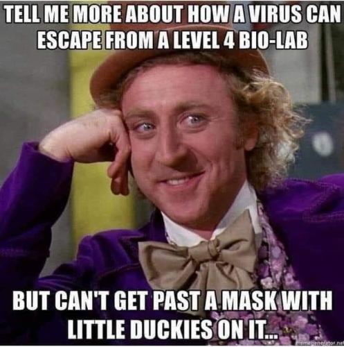 FB_IMG_1644958853522