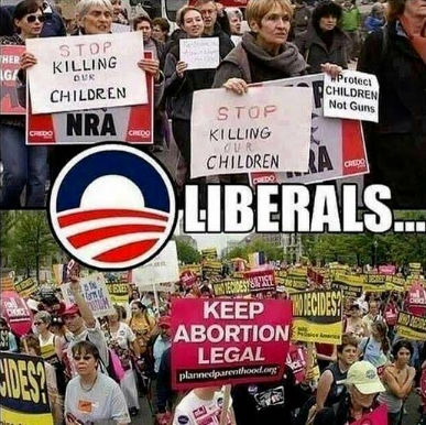 liberals271